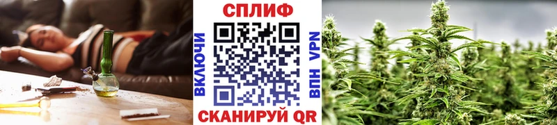 продажа наркотиков  Шахунья  Конопля индика 